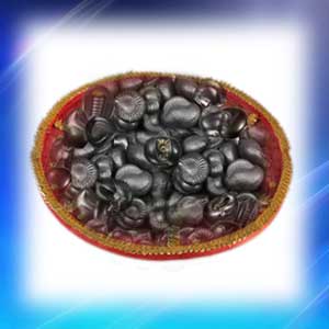 Exotic Divya Param Siddha Sangaraha-EXDPS01
